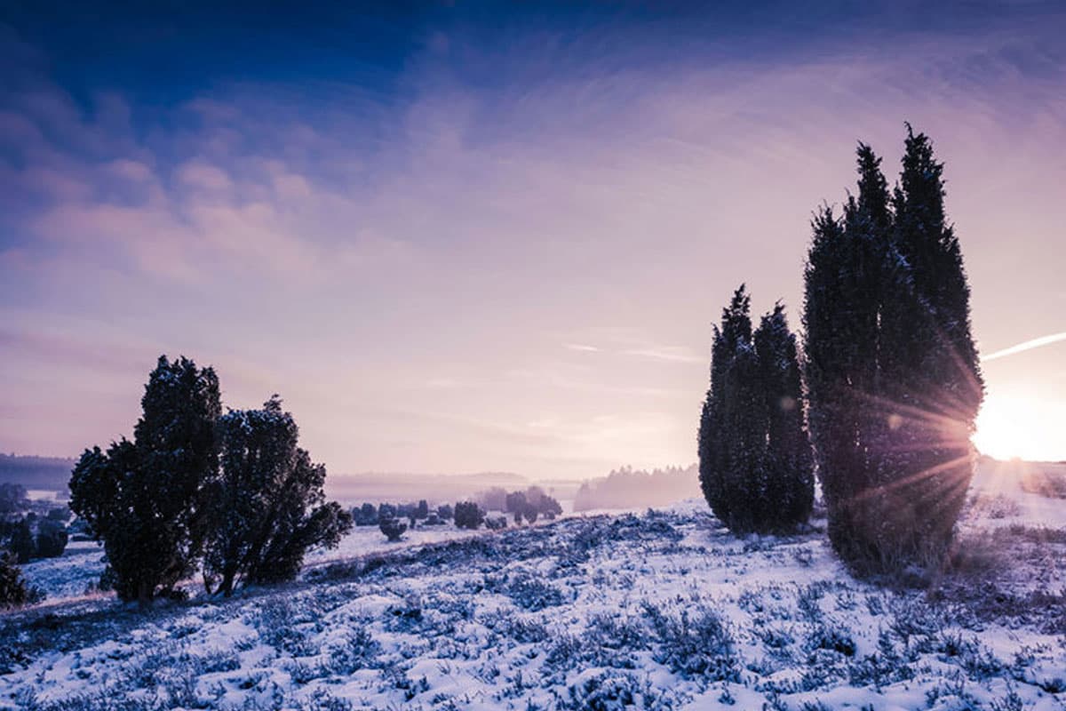 Winter in der Lüneburger Heide