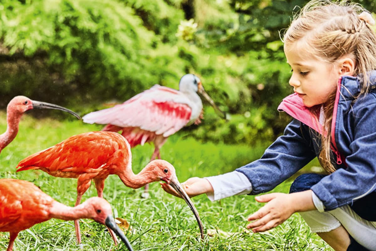 öffnungszeiten im Vogelpark Walsrode
