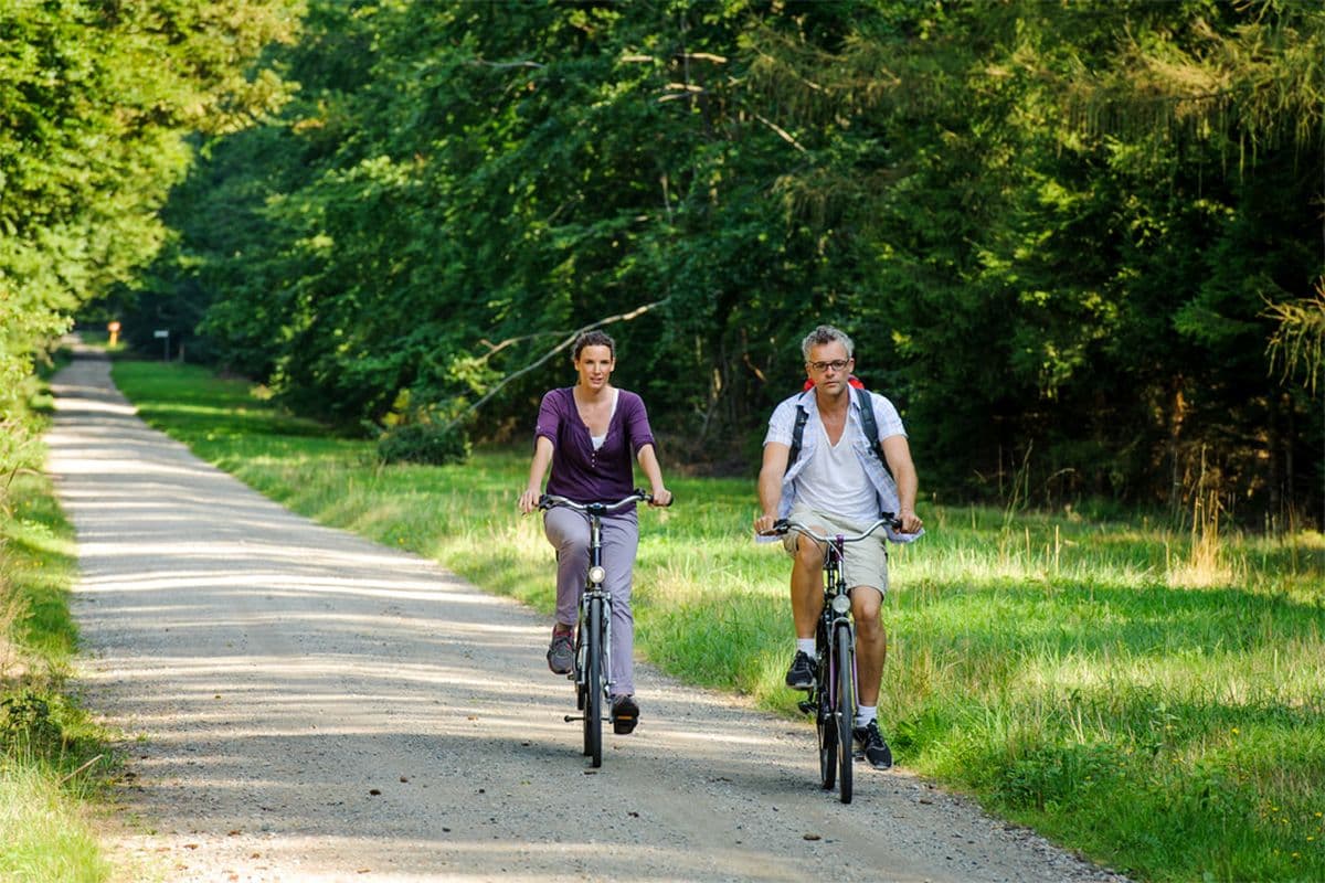 Radfahren im Lüßwald