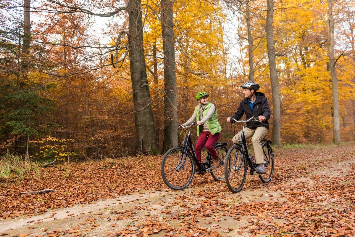 Radfahrer im herbstlichen Lüßwald