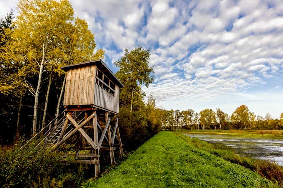 Aschauteiche auf dem Radweg Naturpark Südheide Tour