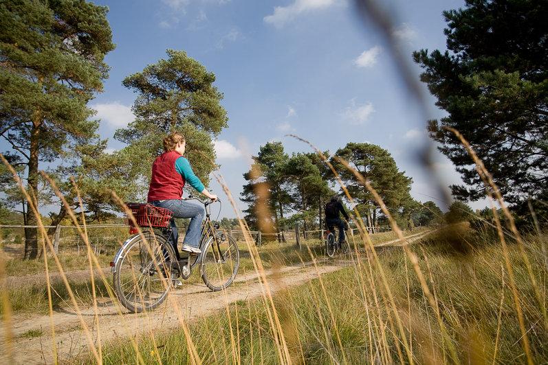 Radfahren im Naturpark Lüneburger Heide