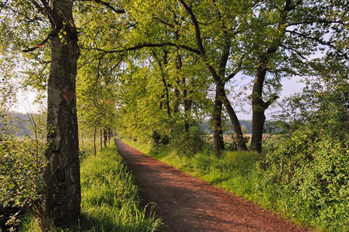 Entlang des Flusses Ilmenau führt ein toller Radweg