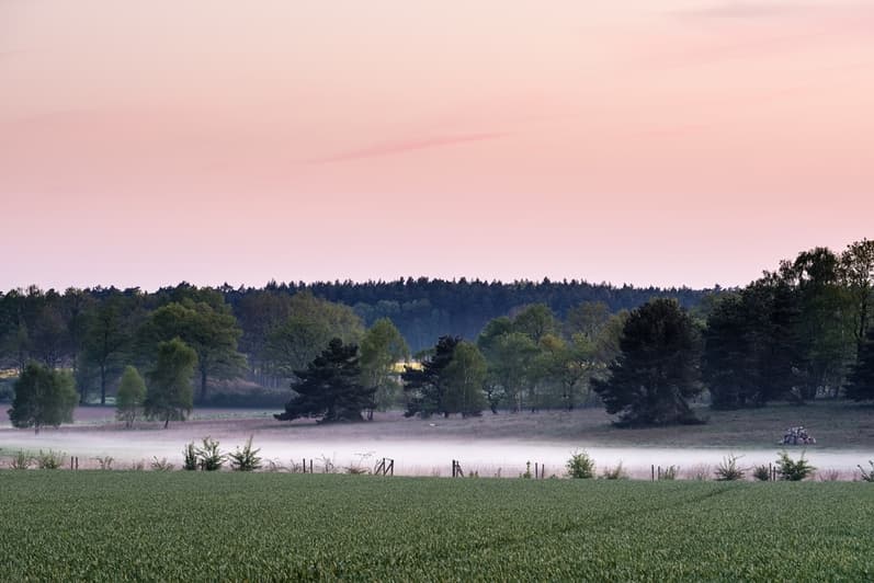 Neblige Landschaft, Salzhausen