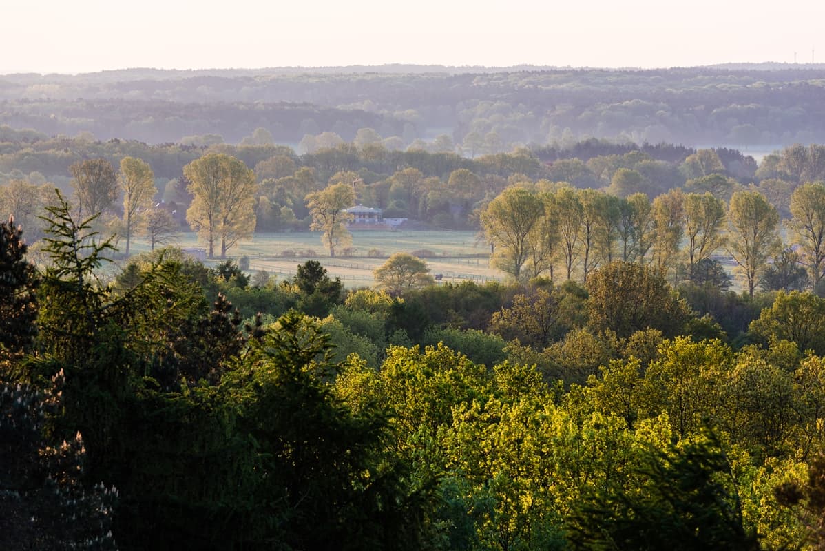 Blick vom Paaschberg