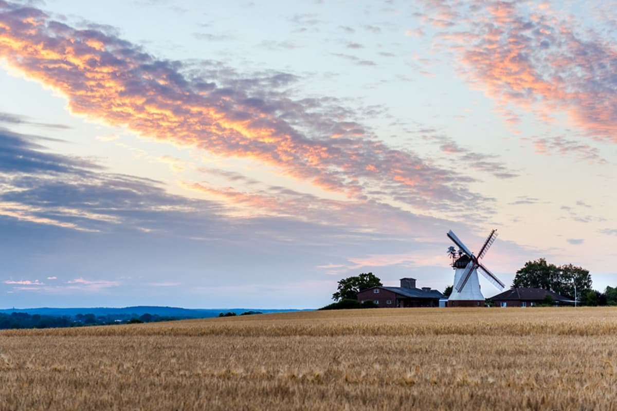 Erd-Holländerwindmühle in Eyendorf