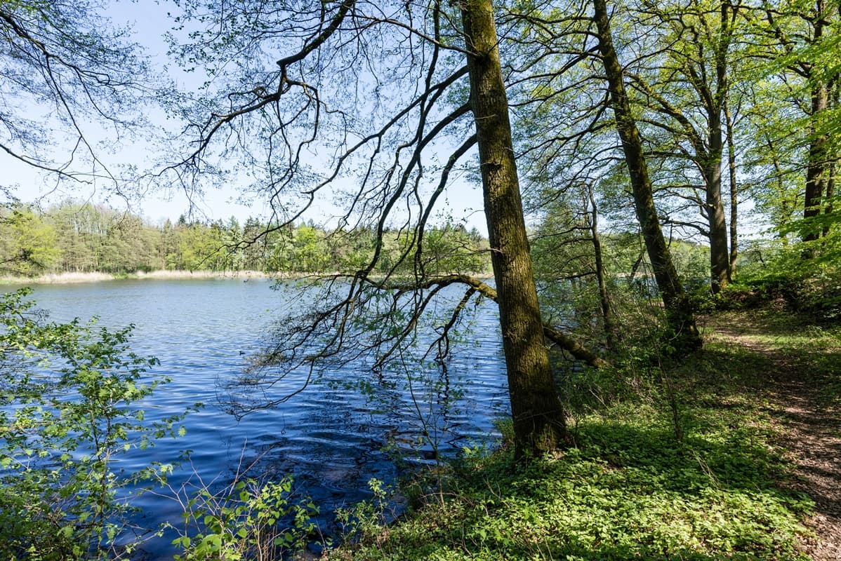 Appelbecker See Moisburg 