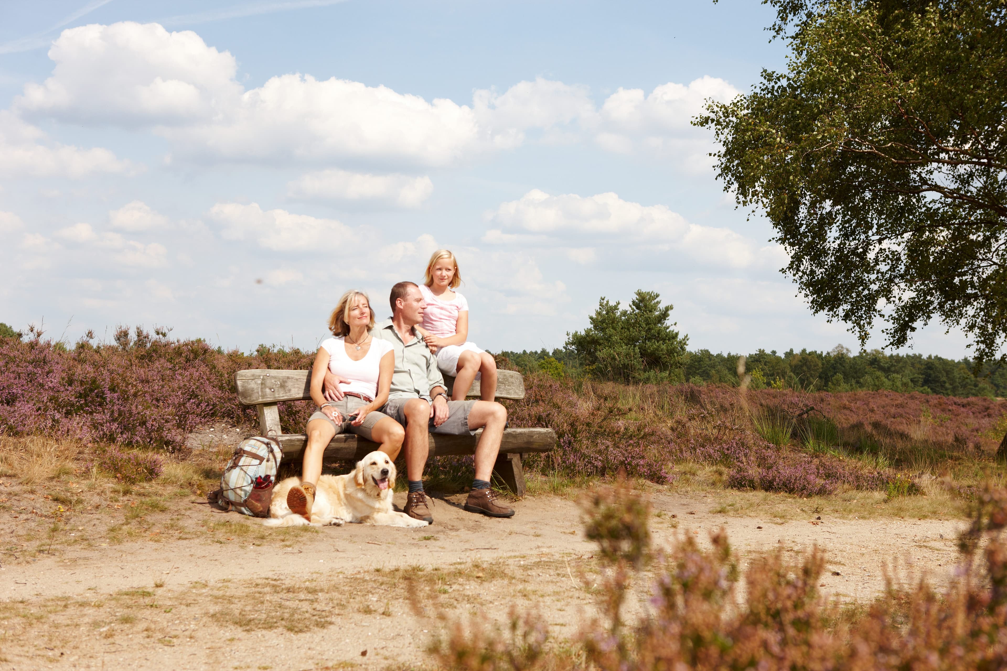 Wander-Tour 6: Fischbeker Heide