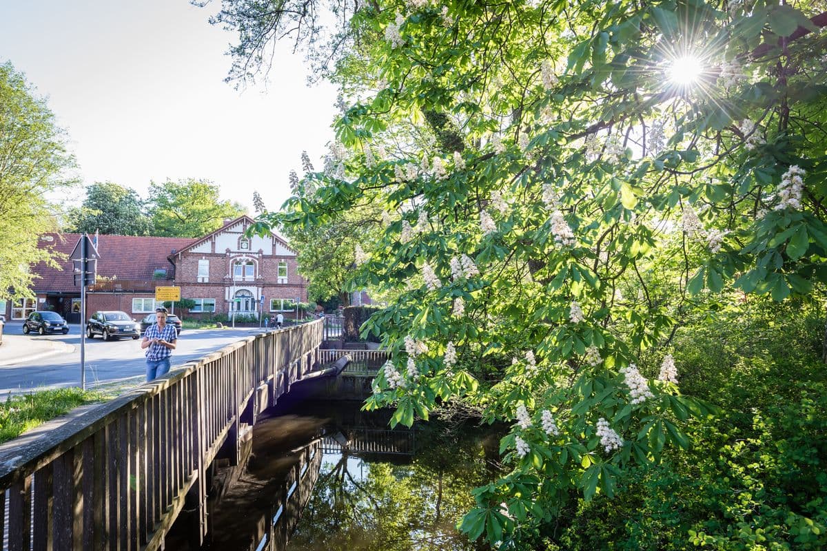 Brücke über die Este in Moisburg