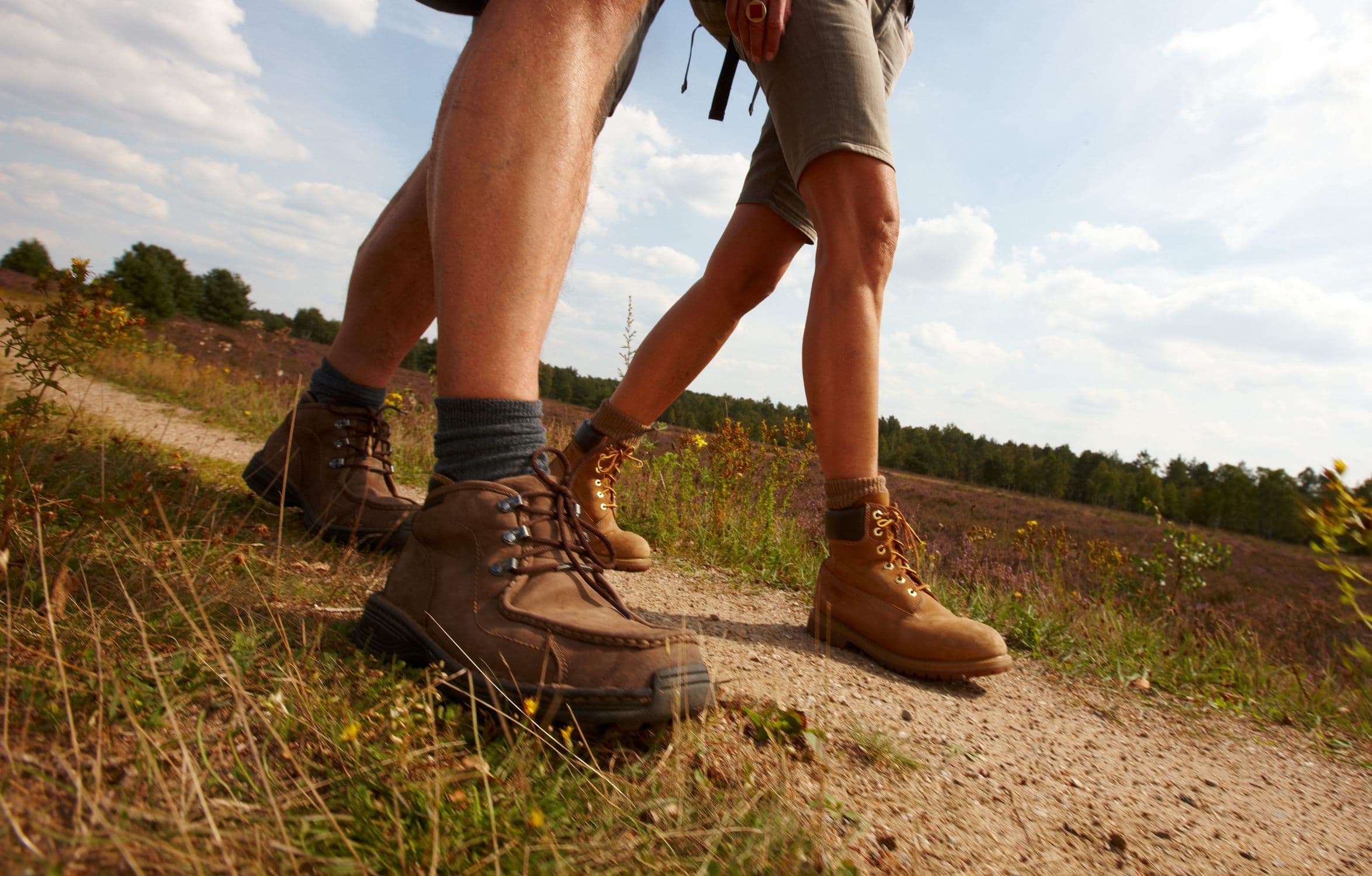 Wandern in der Heide