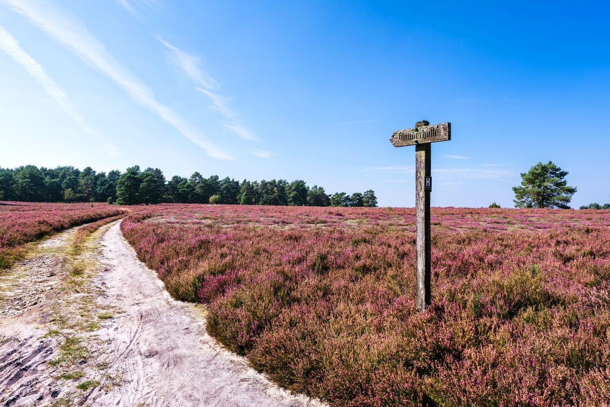 Long Tour (18,6 km) "Gaussian Measuring Points in the Mountainous Region of the South Heath"