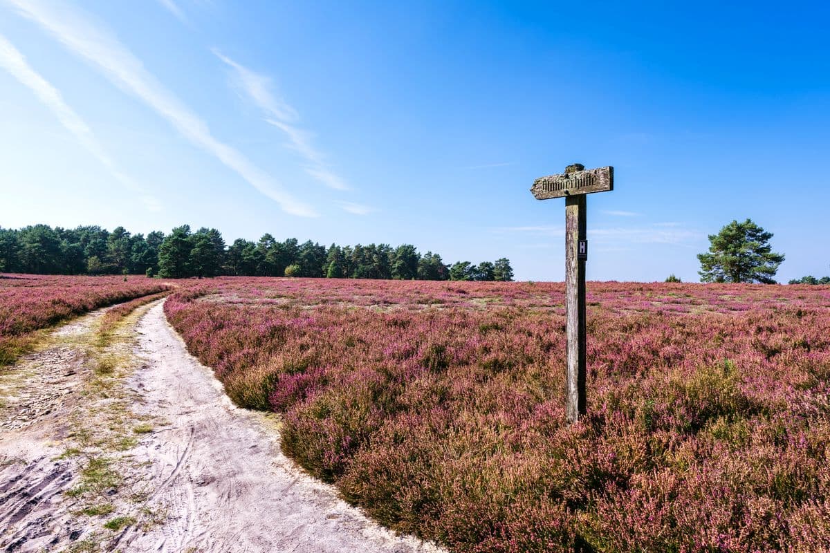 hausselberg, mueden, naturpark suedheide