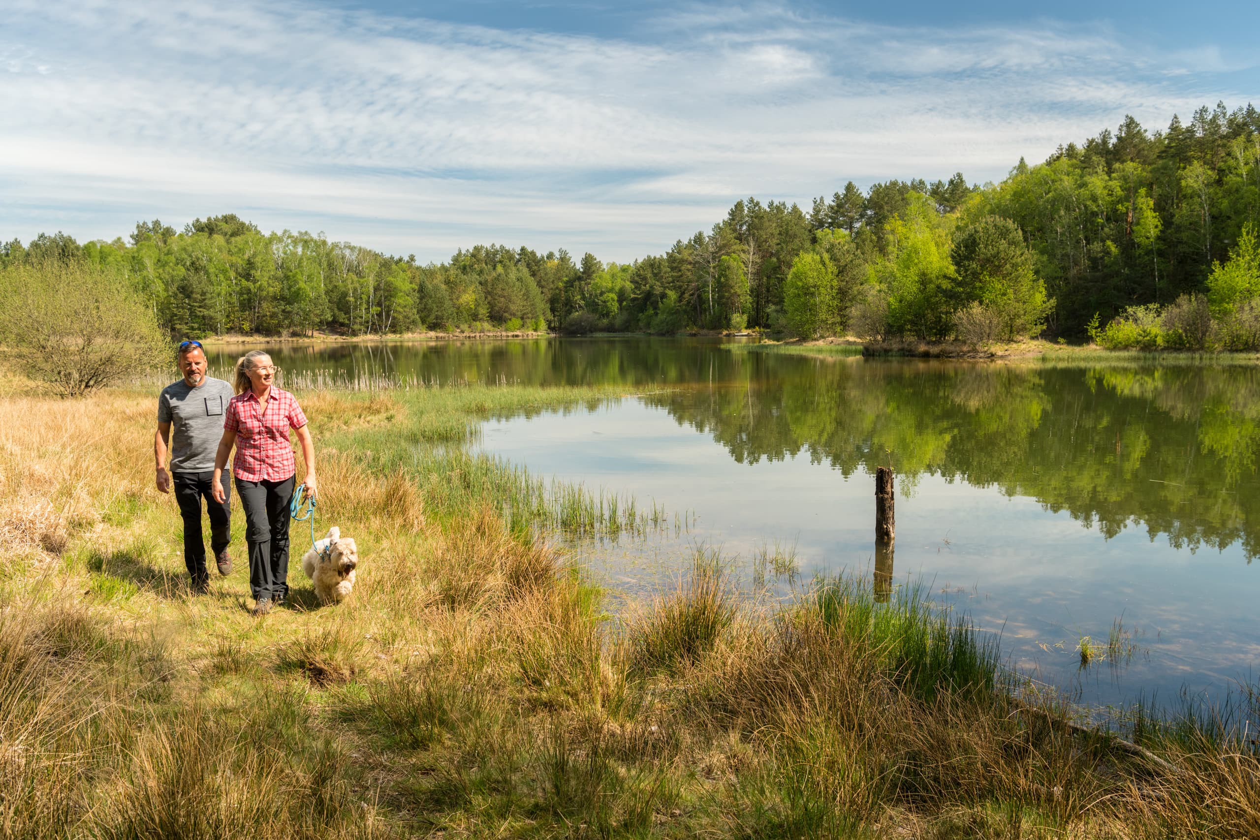 Am Kieselgurteich in der Oberoher Heide