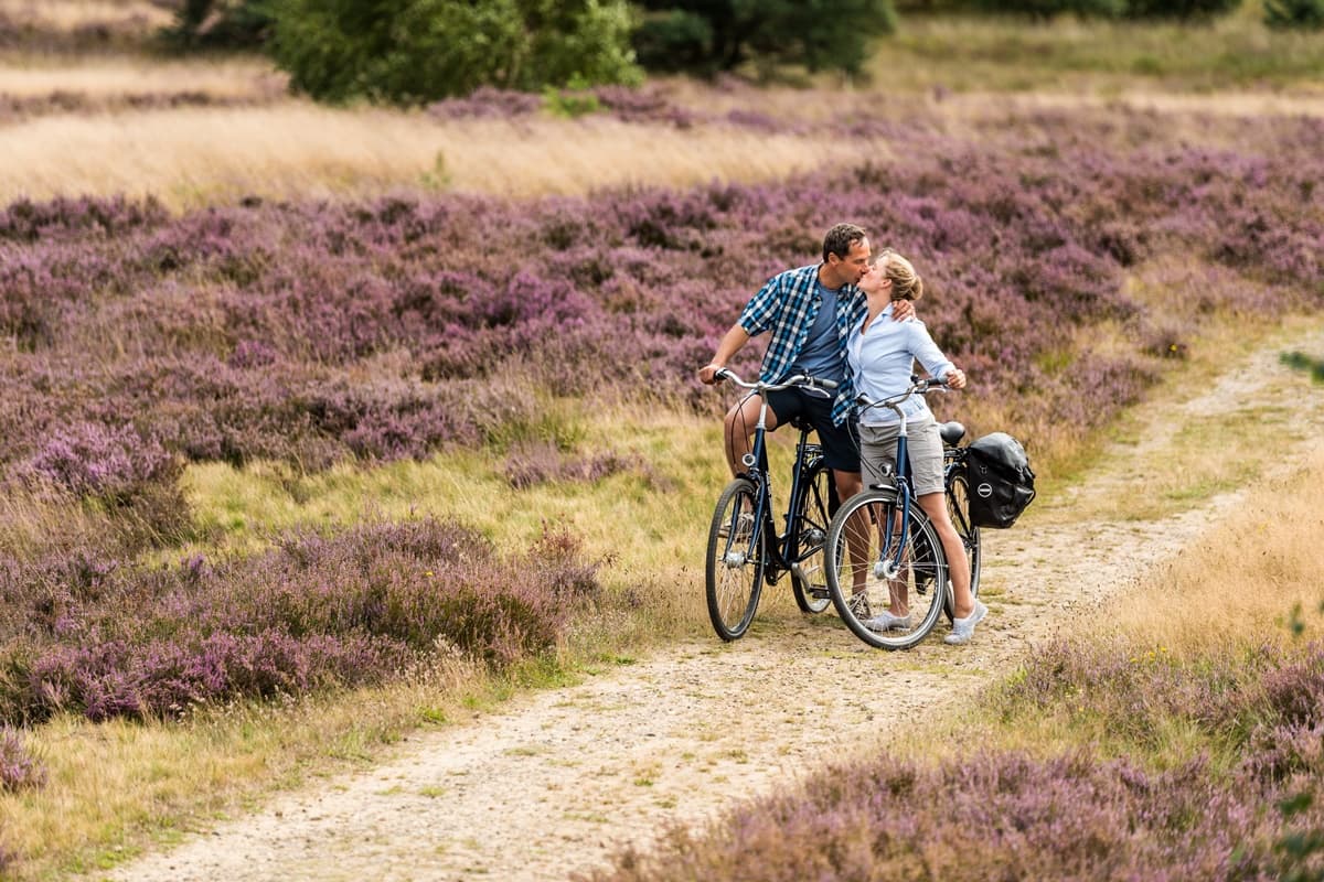 Radtour Lüneburger Heide