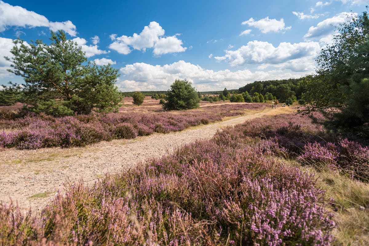 Radtour Lüneburger Heide