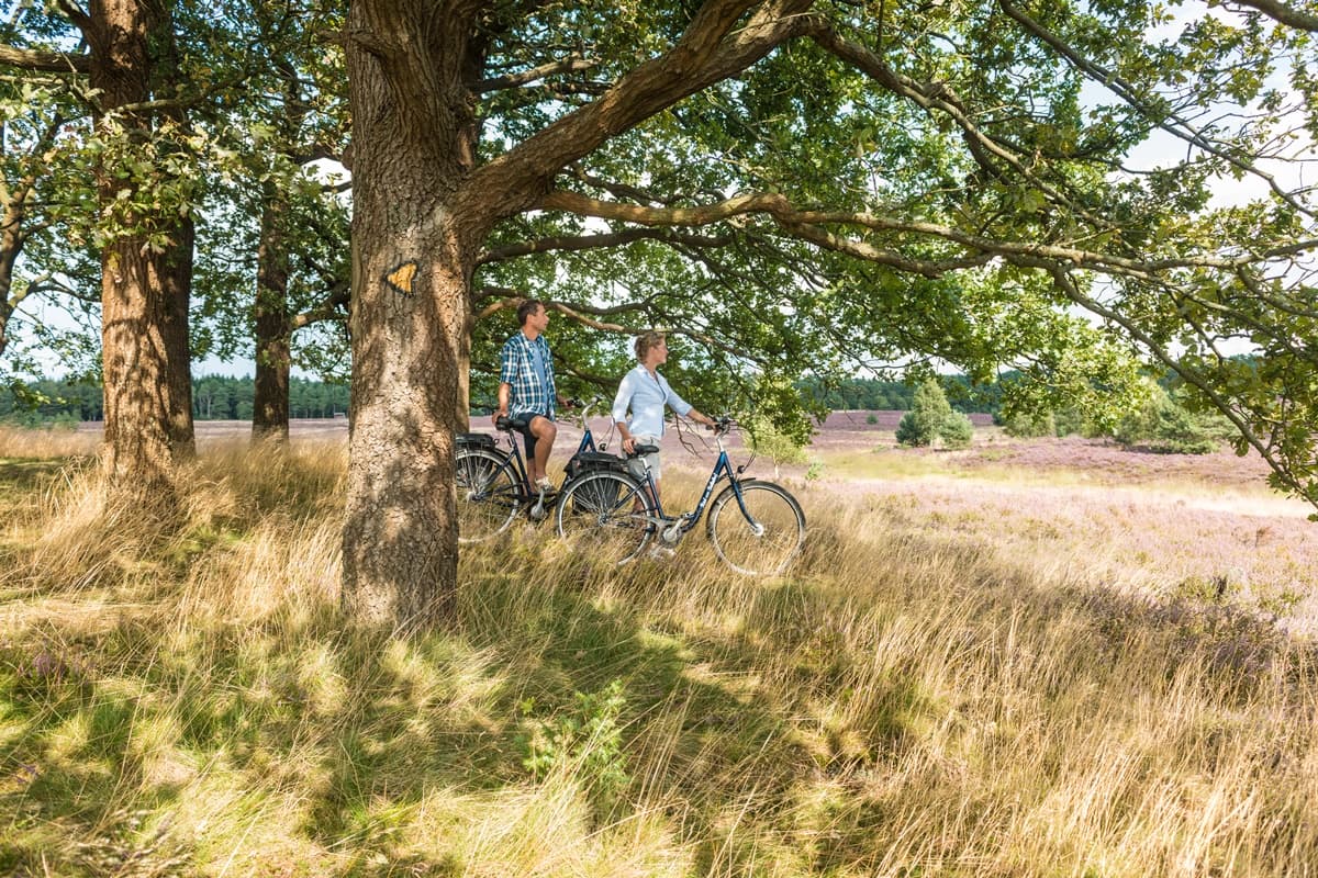 Radtour Lüneburger Heide