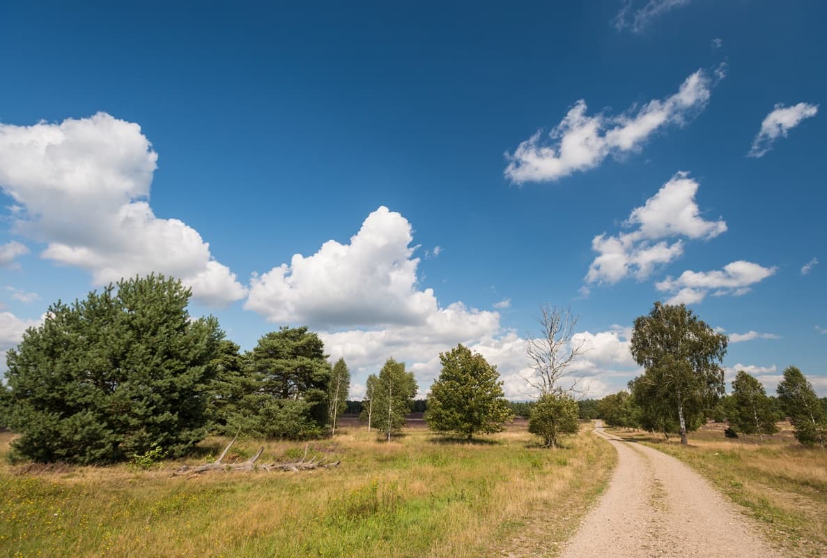 Radtour Lüneburger Heide