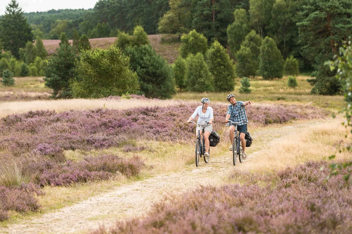 Radtour Lüneburger Heide