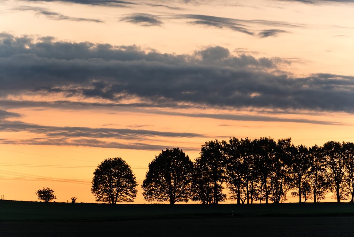 Appelbecker See Moisburg