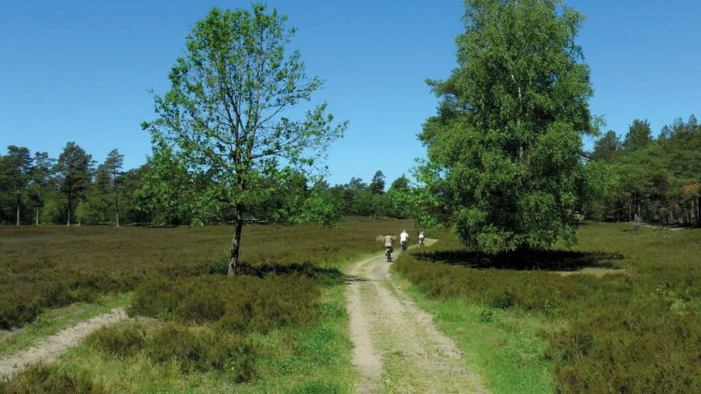 mit dem Rad ab Bispingen auf der kleinen Heidetour
