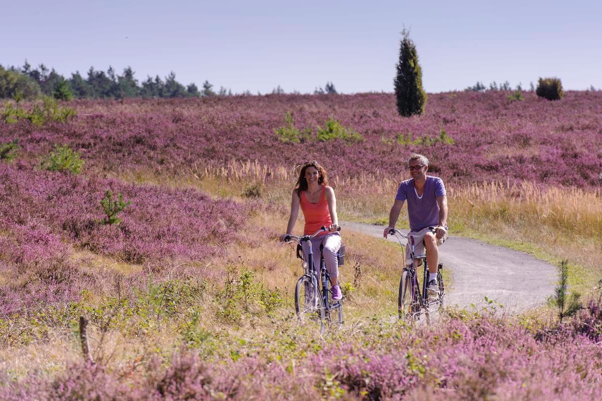 Radfahrer in der Oberoher Heide