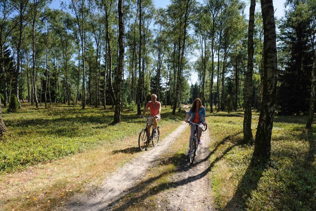 mit dem Rad durch die Oberoher Heide