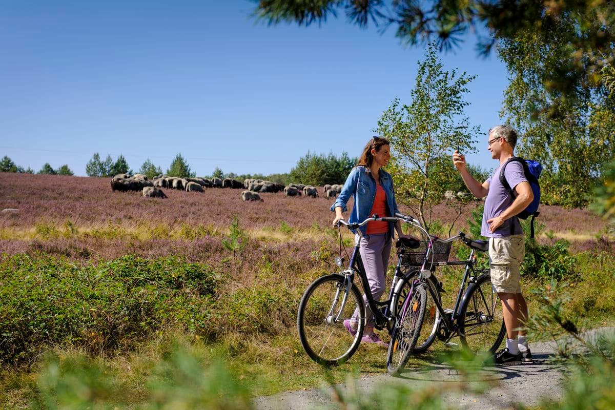 Radfahrer in der Oberoher Heide