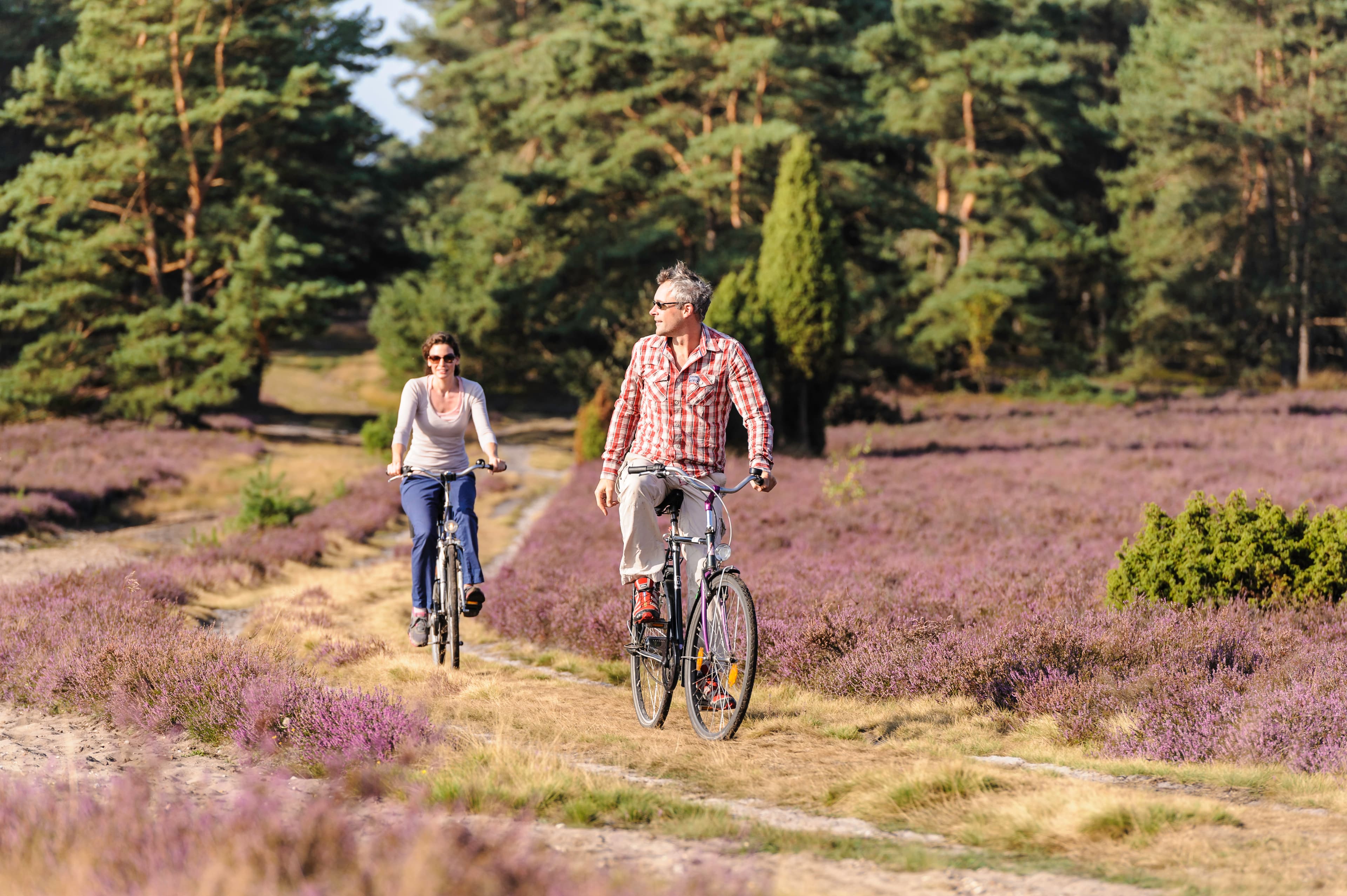 Radfahren in der Lüneburger Heide