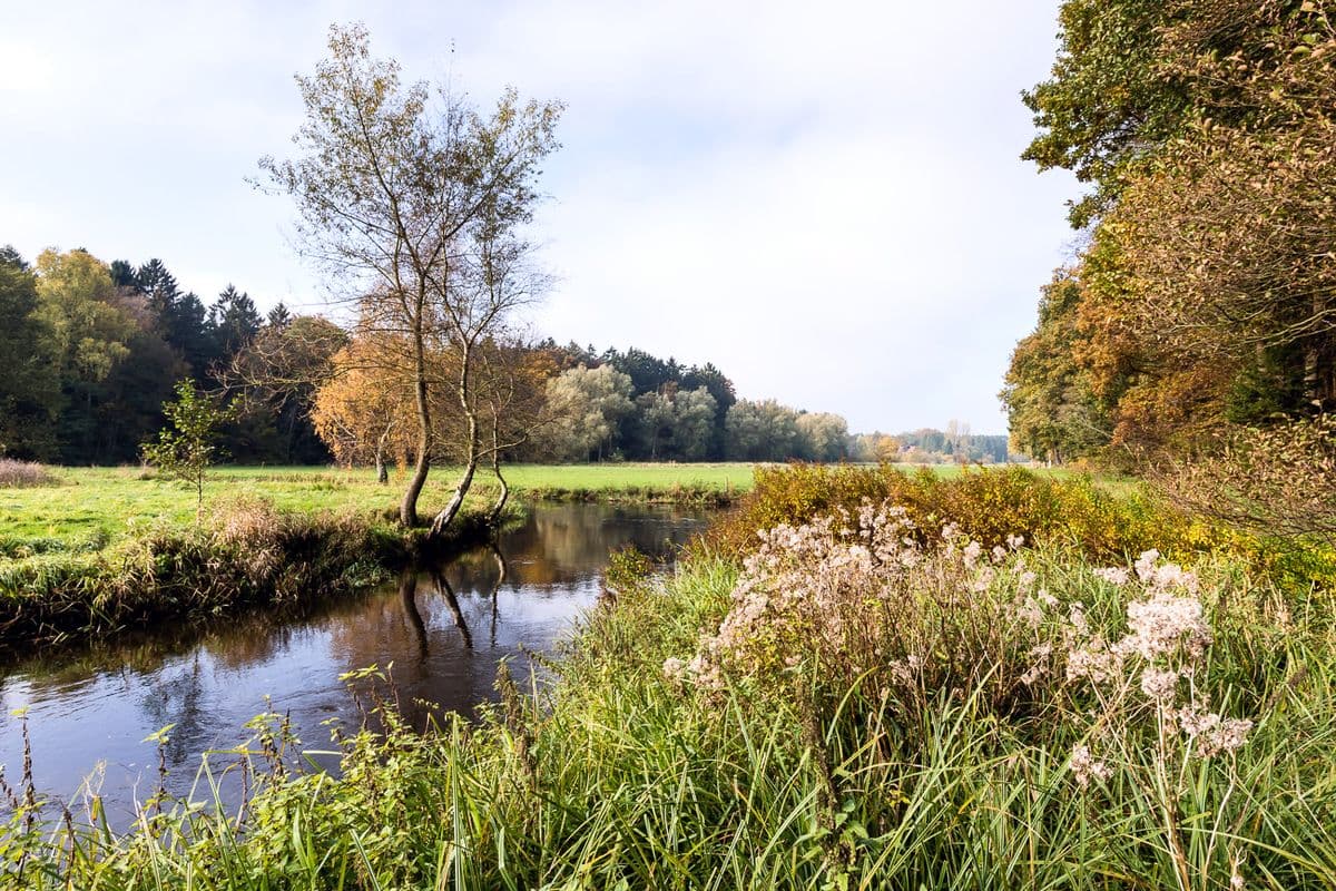 Heidefluss Örtze bei Oldendorf