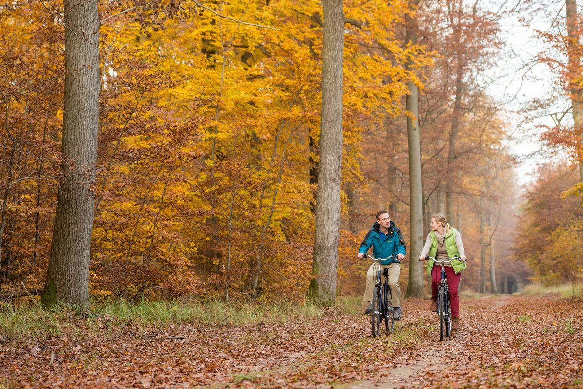 Fahrradtour im Lüßwald
