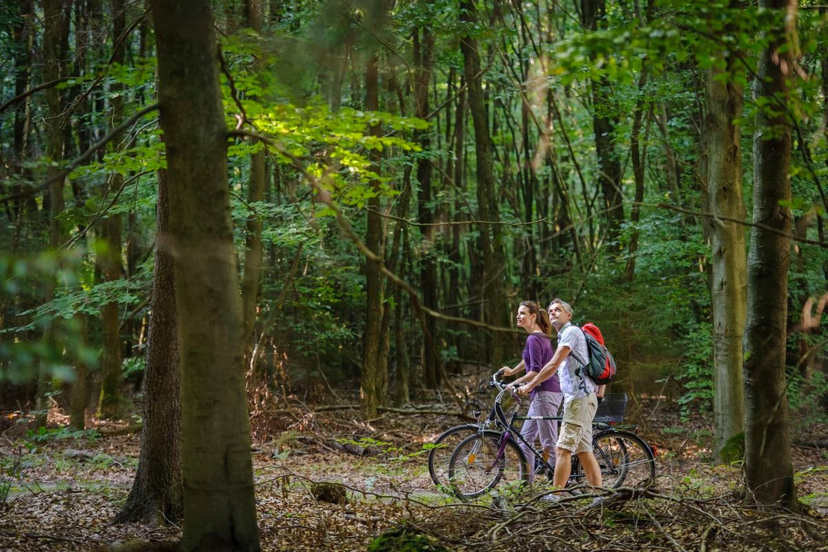 Radfahrer im Lüßwald