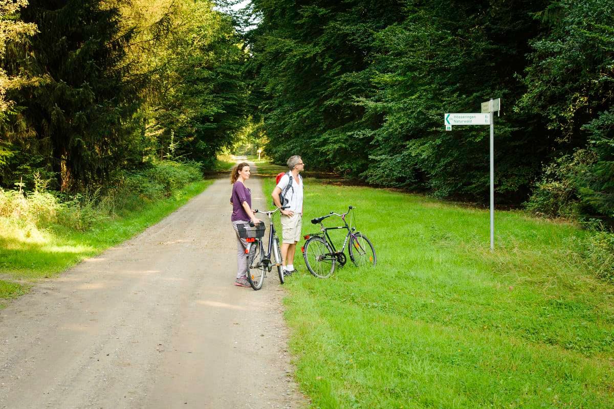 Wegebeschilderung im Lüßwald