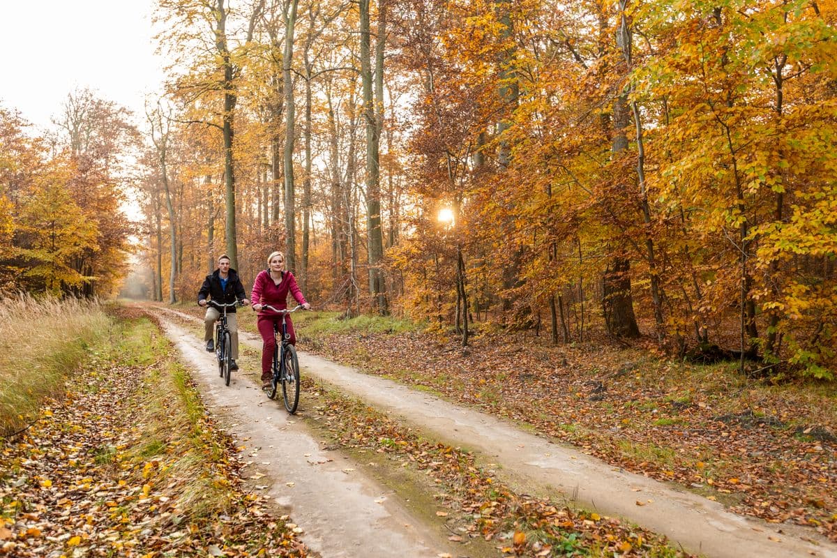 Radfahrer im herbstlichen Lüßwald