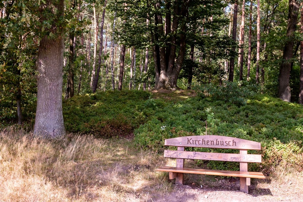 Hügelgrab in der Südheide