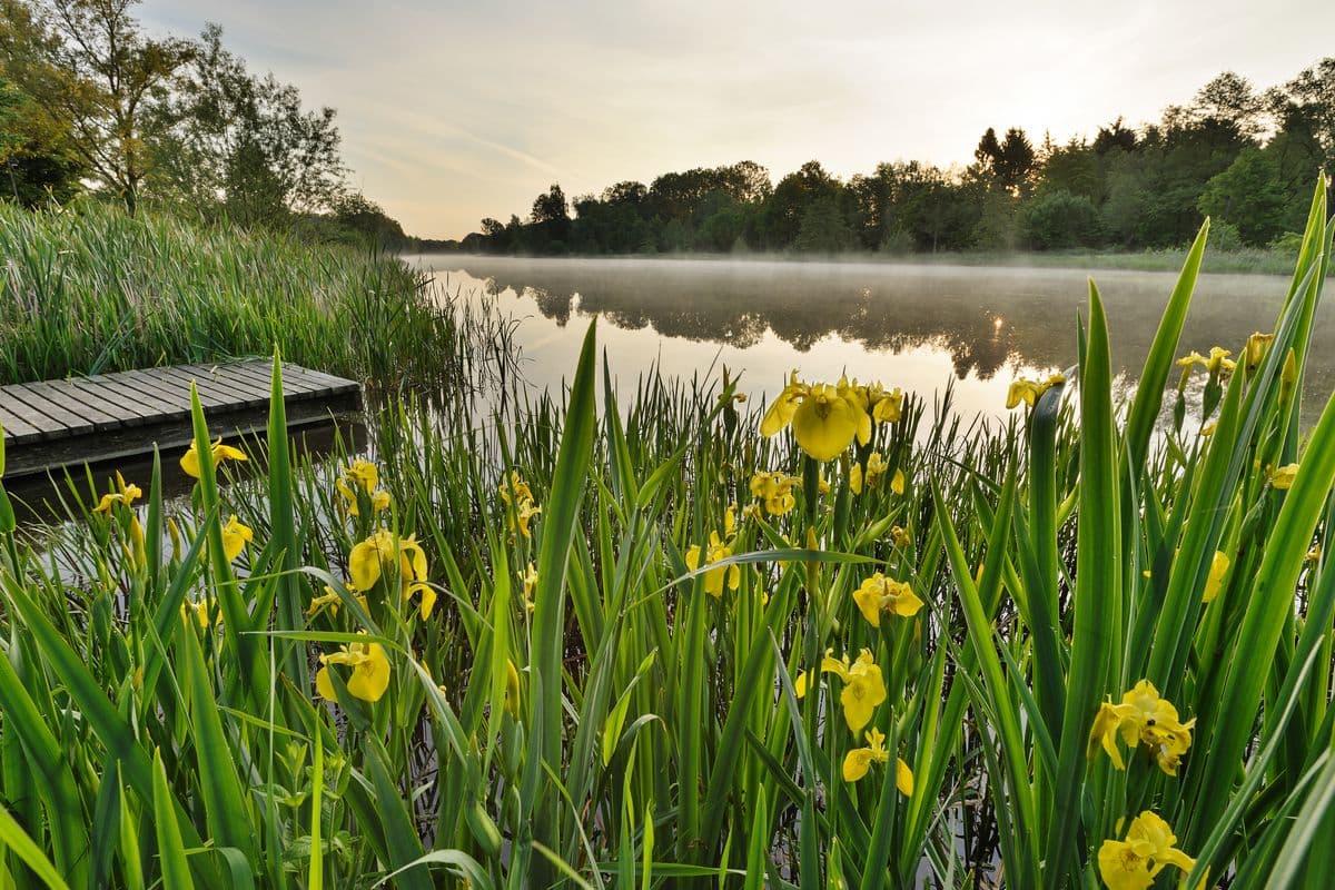 Am Heidesee in Müden (Örtze)