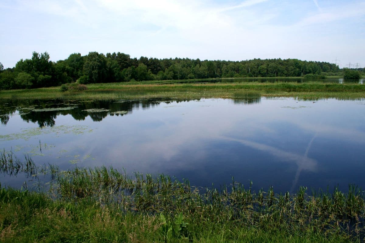 Aschauteiche bei Eschede