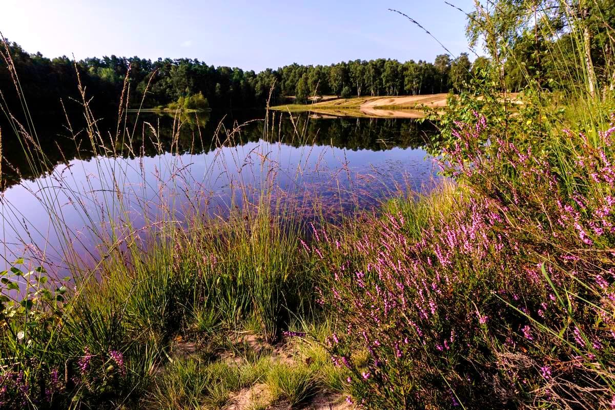 Teich in ehemaliger Kieselgur-Grube