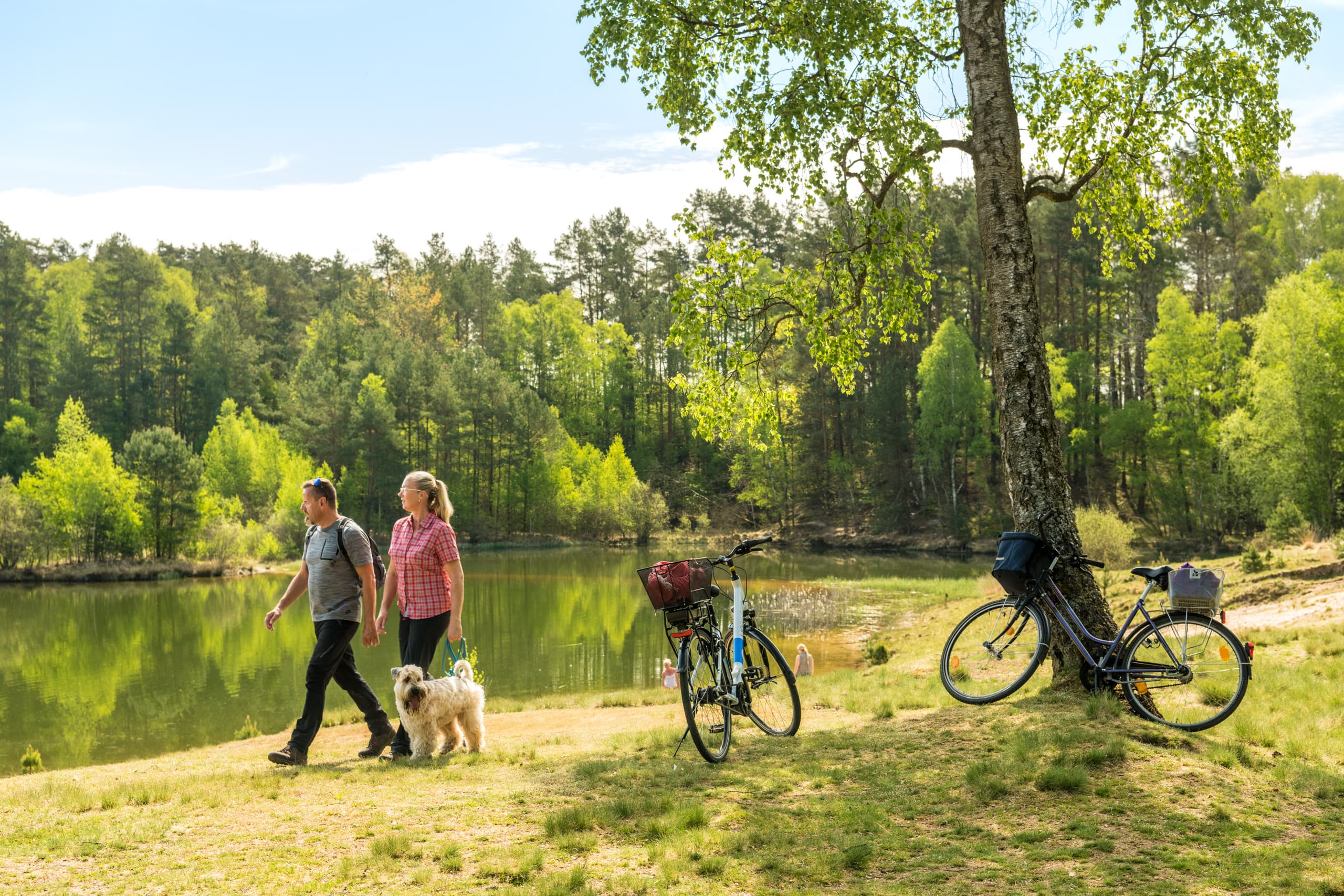 Kieselgurteich in der Oberoher Heide