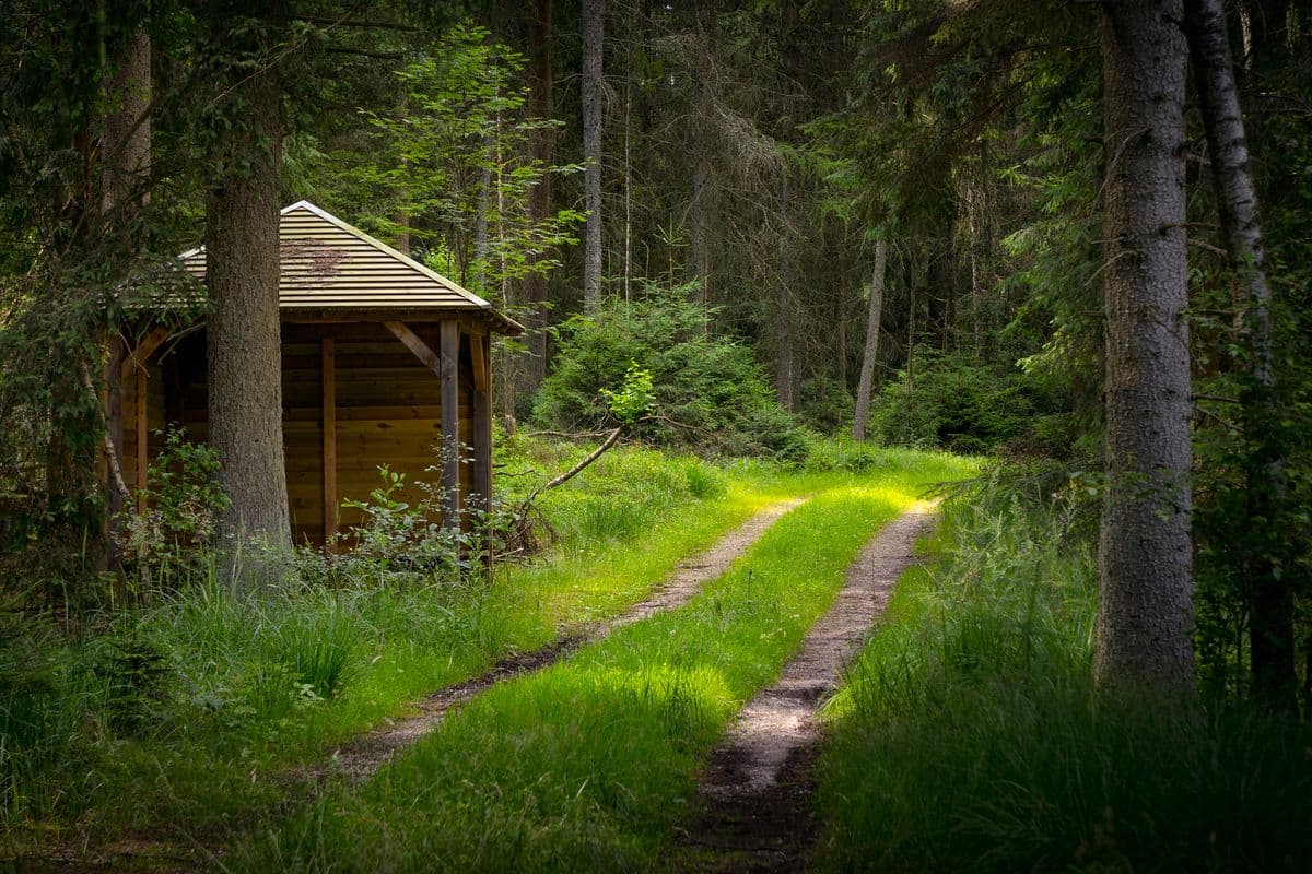 Lutter-Radwanderweg