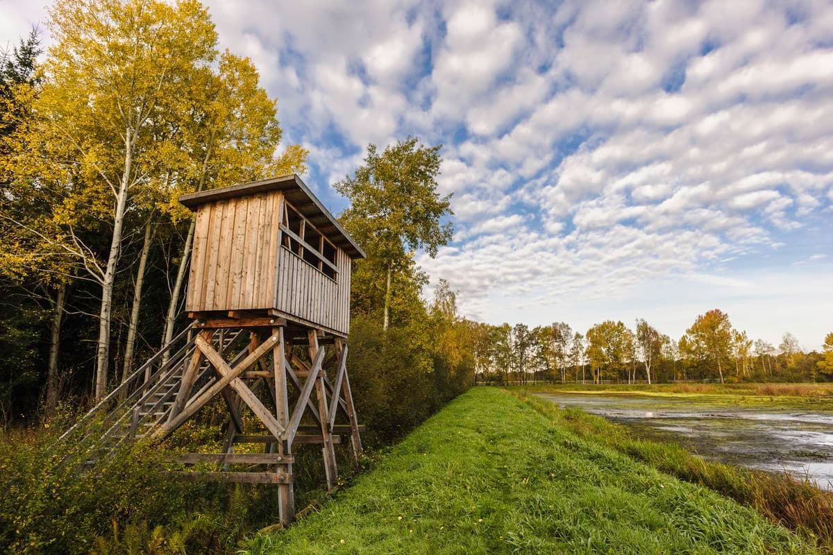 Aussichtsturm an den Aschauteichen