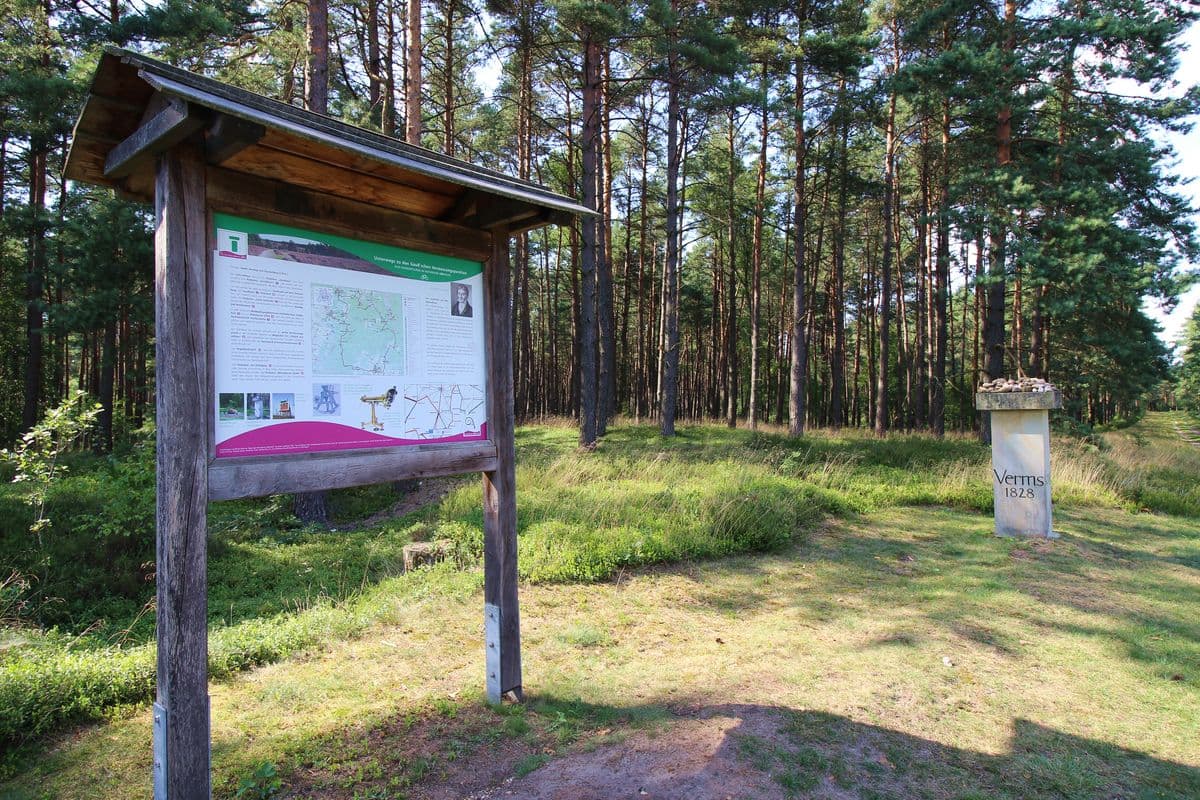Haußelberg Südheide vermessungsstein von gauss