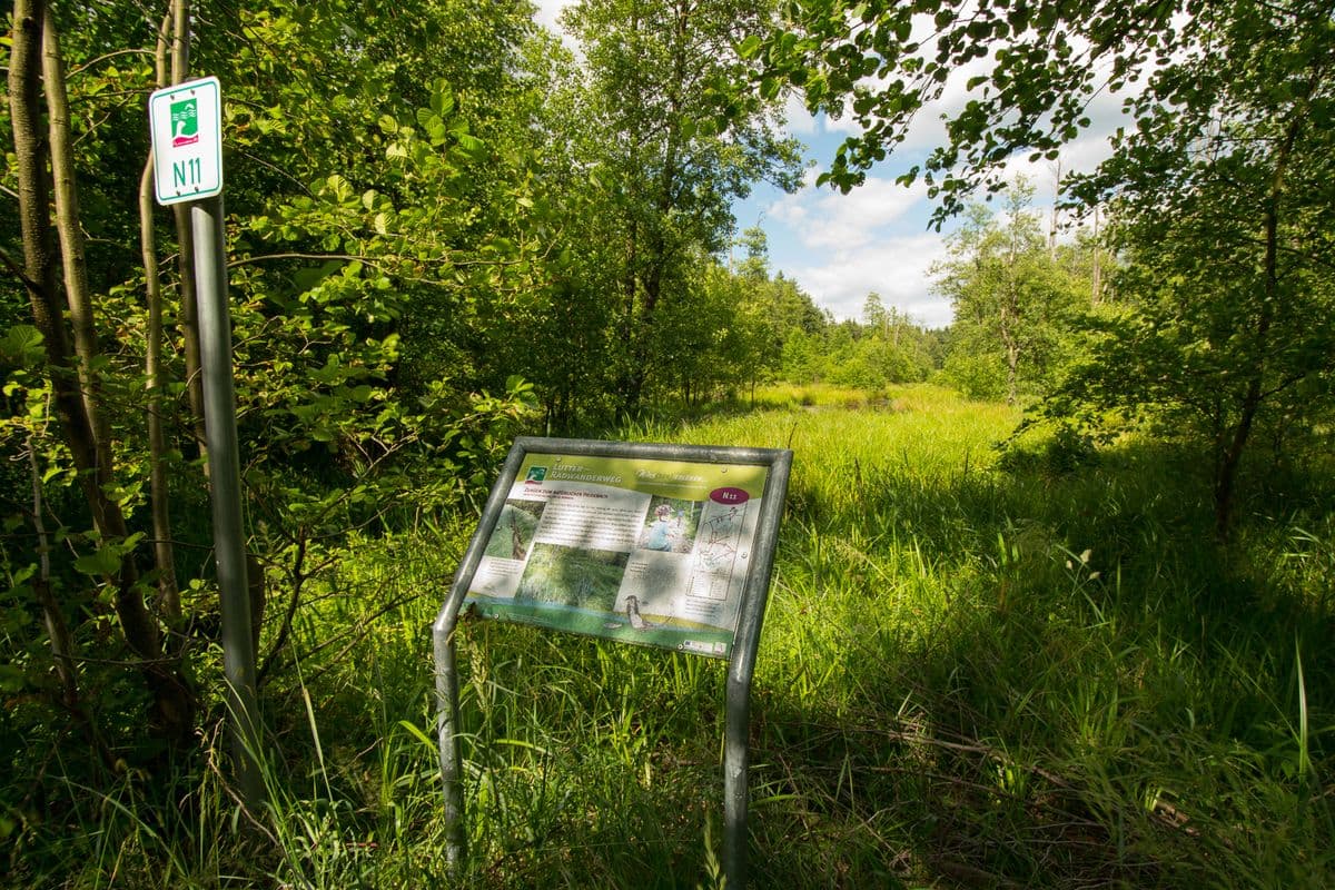 Informationstafel am Lutter-Radwanderweg