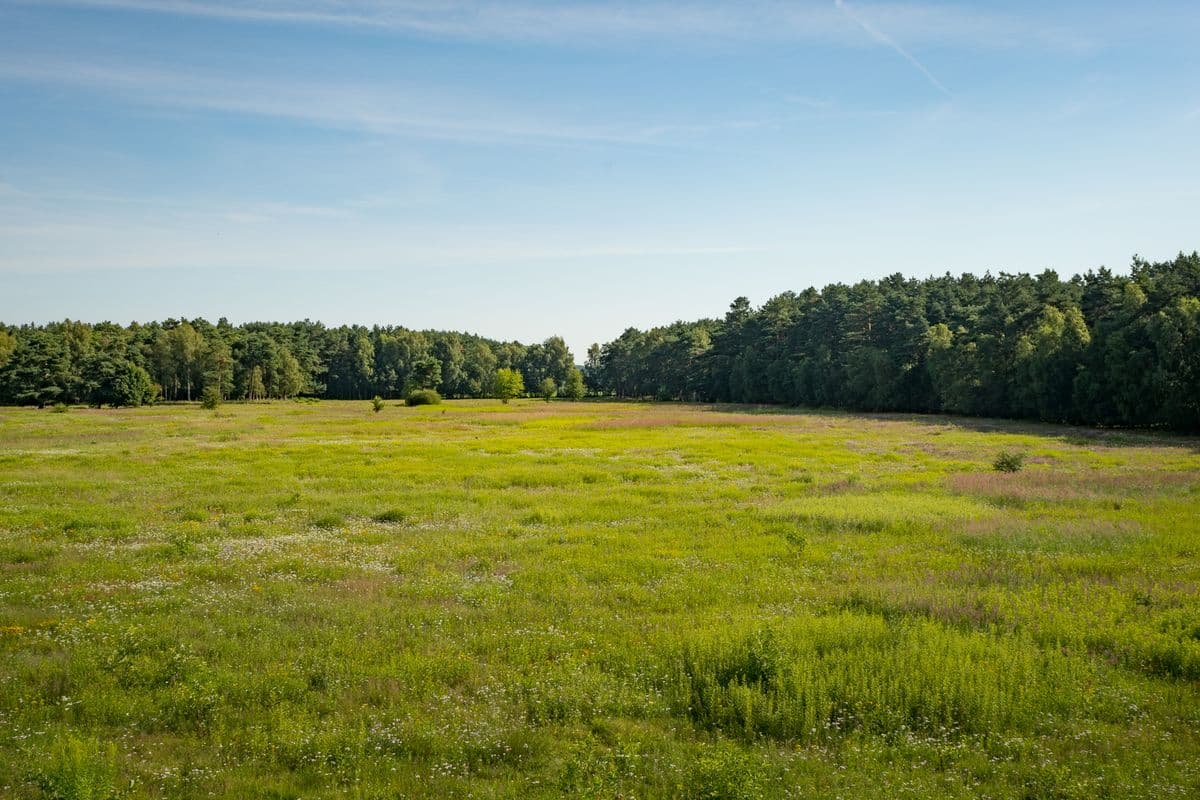 Wiesen am Lutter-Radwanderweg