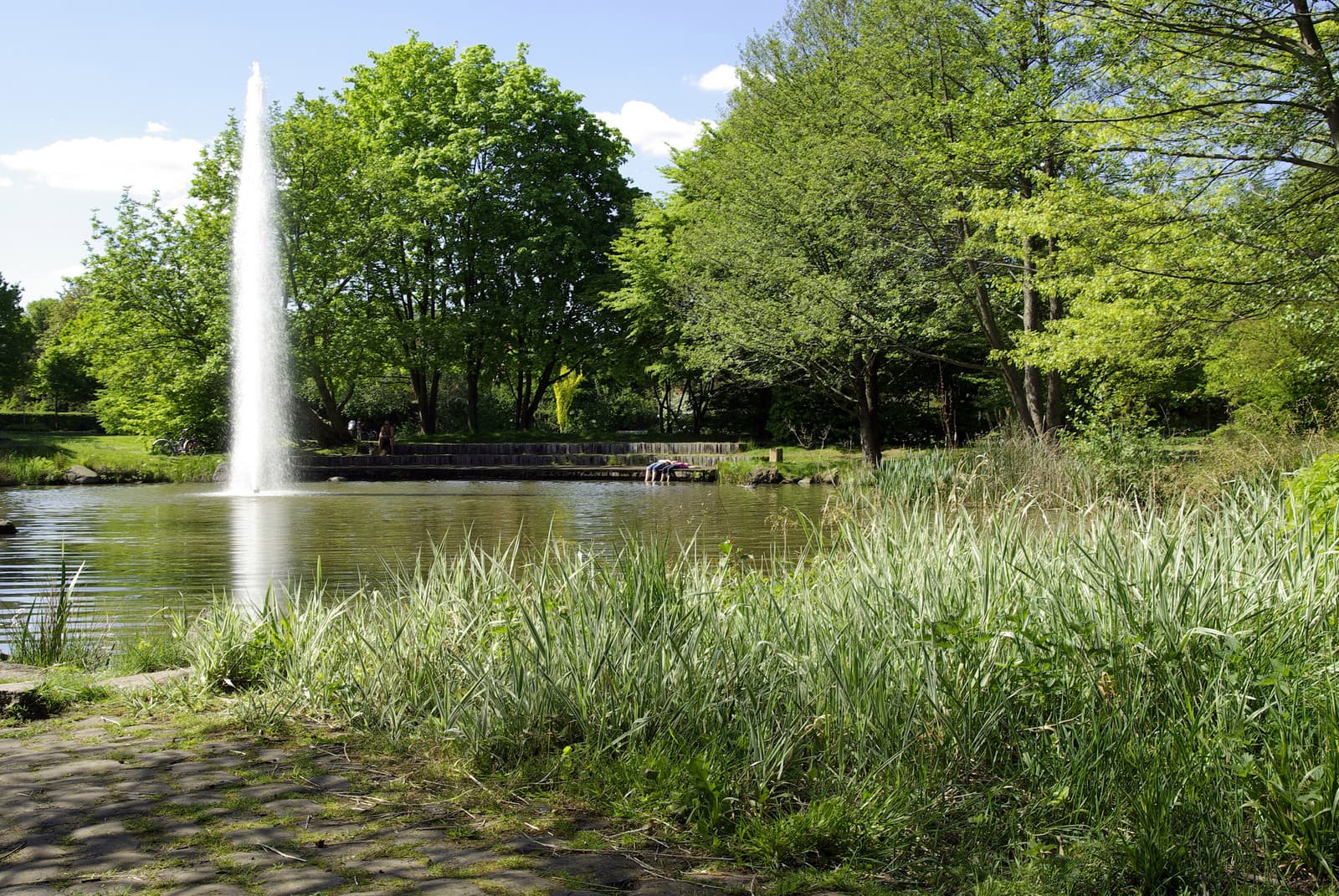 Wasserfontäne im Böhmepark Soltau am Heidschnuckenweg Wandern