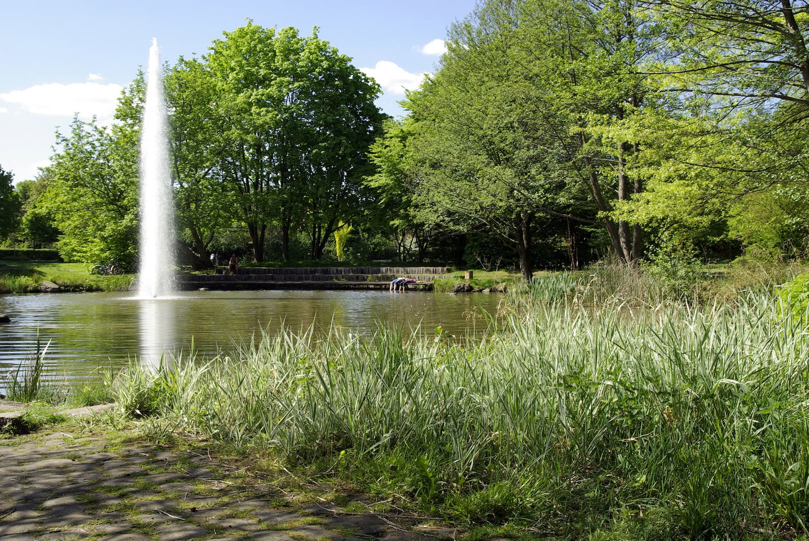 Wasserfontäne im Böhmepark Soltau