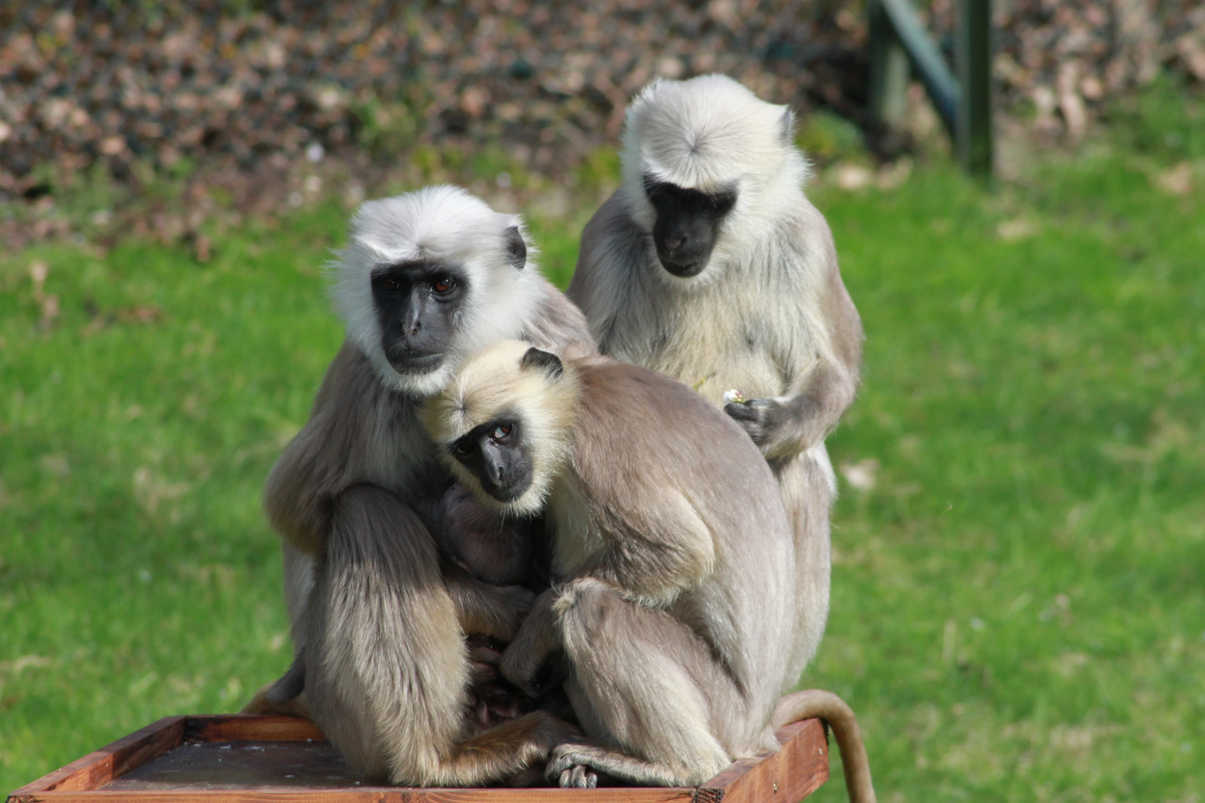 Serengeti-Park Hodenhagen