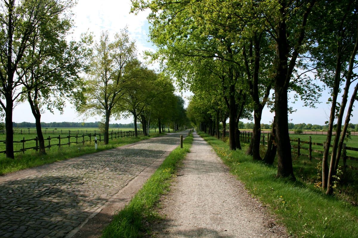 alte Heerstraße in Wieckenberg