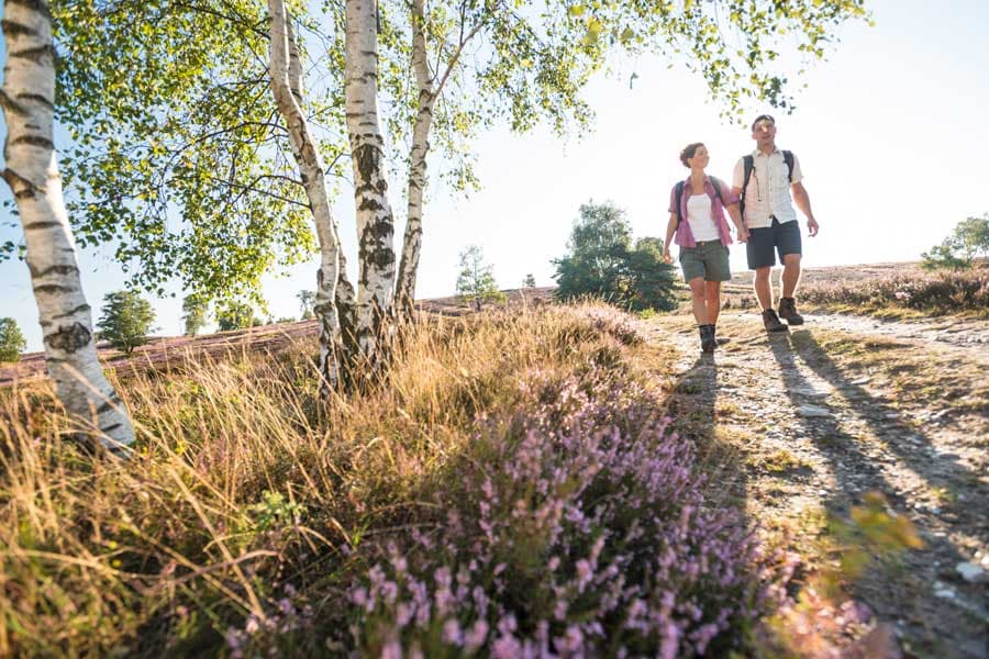 Wandern auf dem Heidschnuckenweg durch die Lüneburger Heide