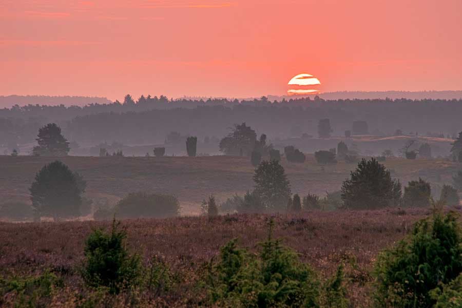 Atemberaubende Landschaft auf dem Heidschnuckenweg