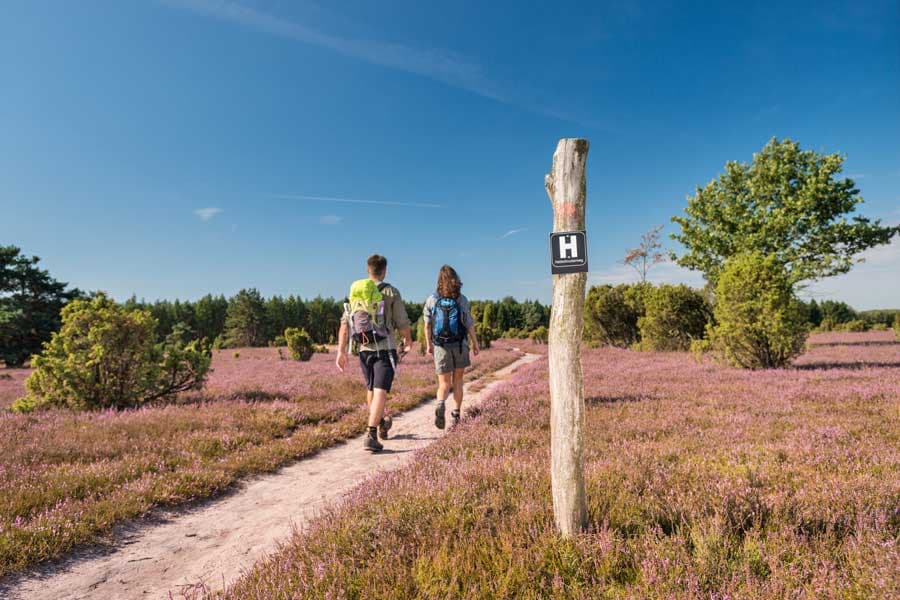 Heidschnuckenweg Lüneburger Heide